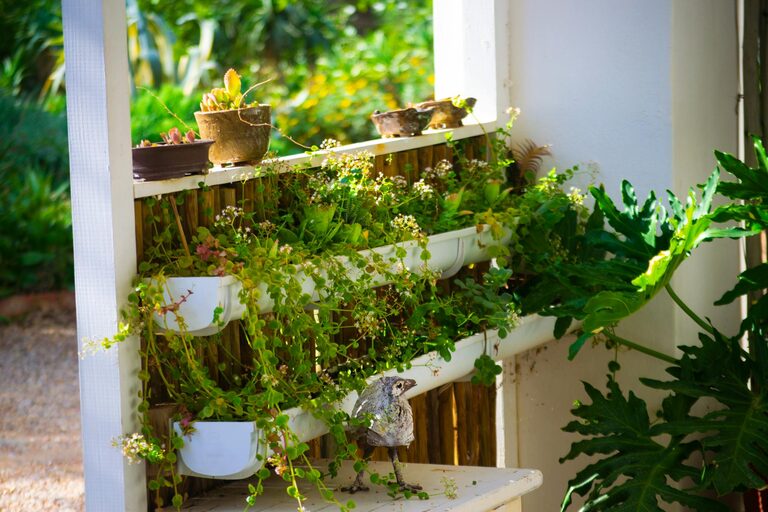 Tips for Creating a Sustainable Home Garden Throughout the Year